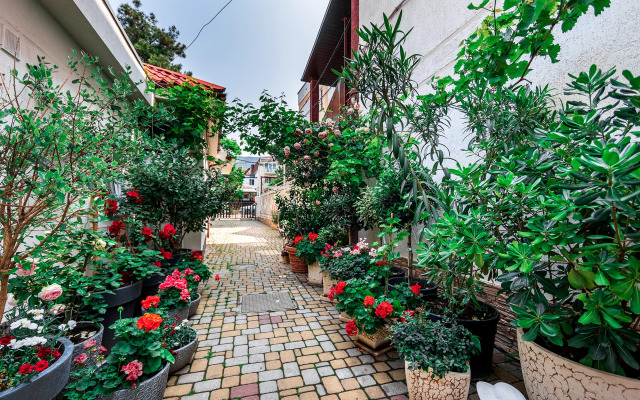 Гостевой дом Евгения