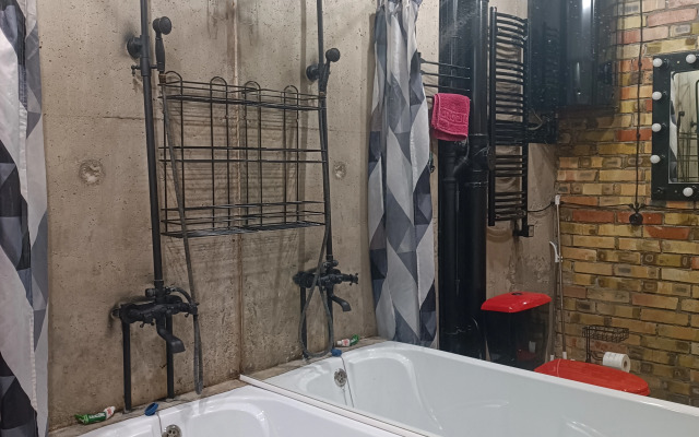 Loft Studiya V Tsarskom Garazhe Flat