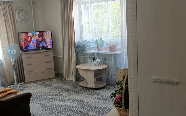 Odnokomnatnaya V Tsentre Goroda Flat