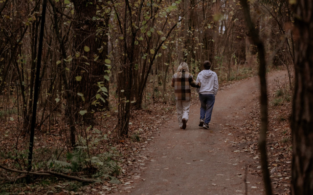Отель Пайн Ривер