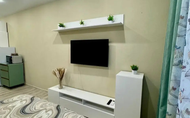 Kvartira-studiya 30 m2 Flat