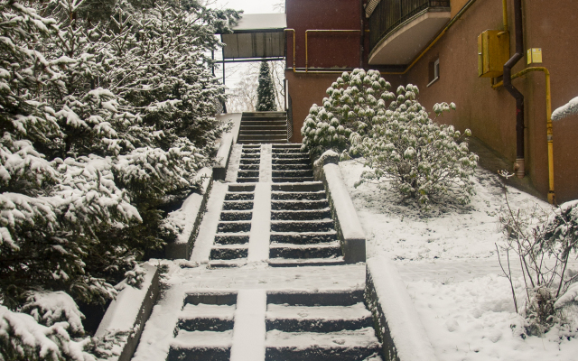 Апартаменты Светогор