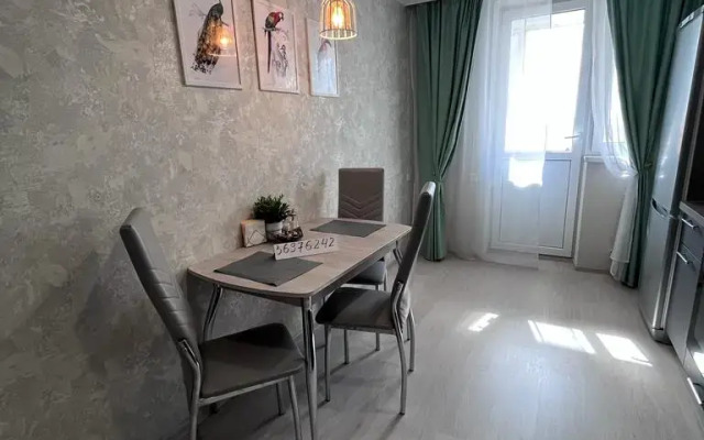 Odnakomnatnaya Flat