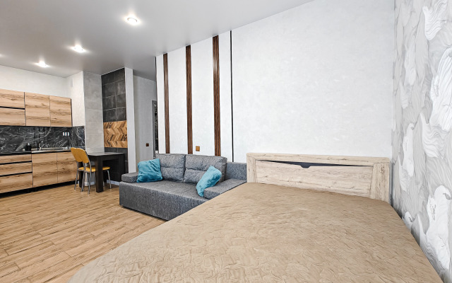 Квартира Писарева 44