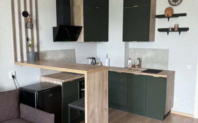 Studiya Loft V Zhk Biznes-Klassa Novokoltsovskiy Flat