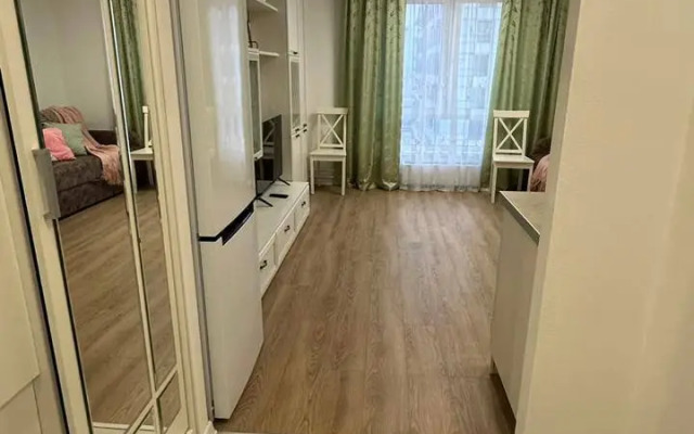 Studiya Okolo Ostrova Mechty I Parka Kolomenskoye Flat