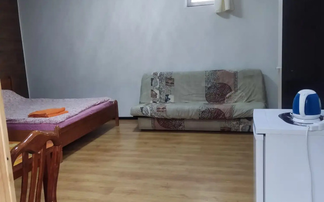 Pregolsky Guest House