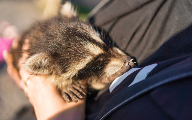 Отель Комплекc Загородного отдыха  Место 7