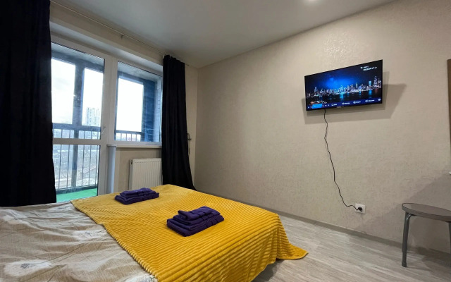 Квартира Васнецова 24