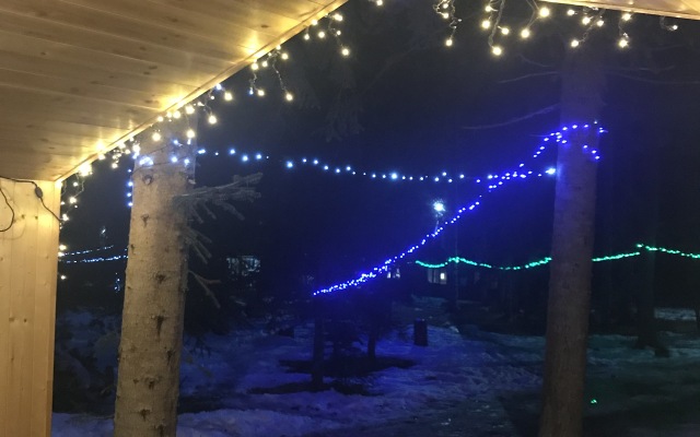 Forest House Resort