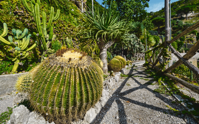 Отель Botanico San Lazzaro