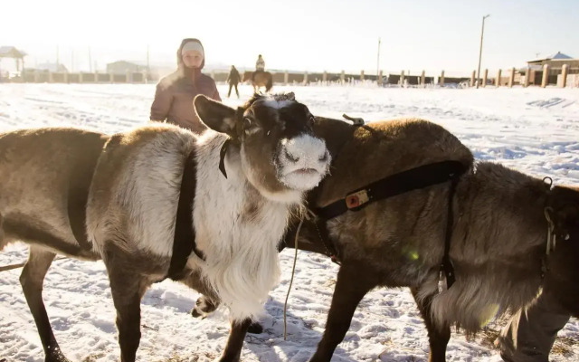 Отель Загородный клуб