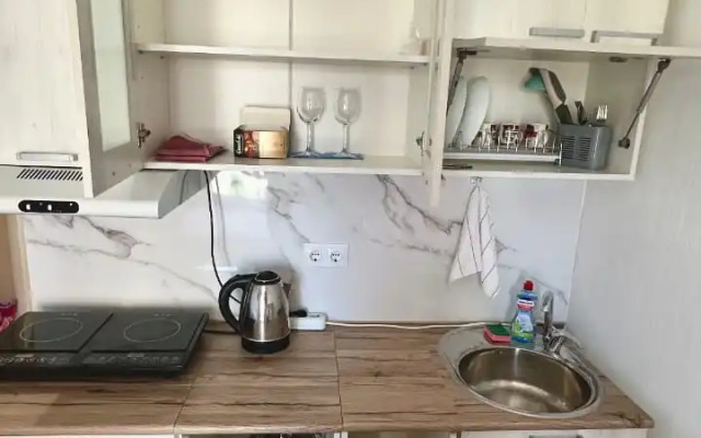 Istoman studiya Dlya Dvoikh Apartment