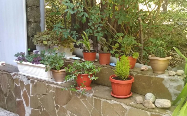 Pod Palmoy Guest House