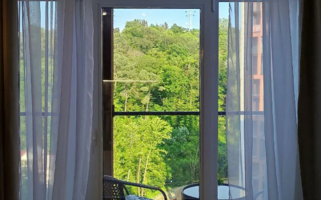 Studiya S Panoramnymi Oknami Flat