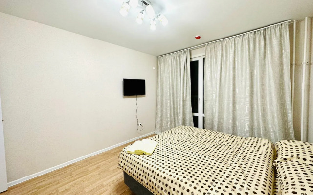 Pant Family House na Mostovoy Apartments