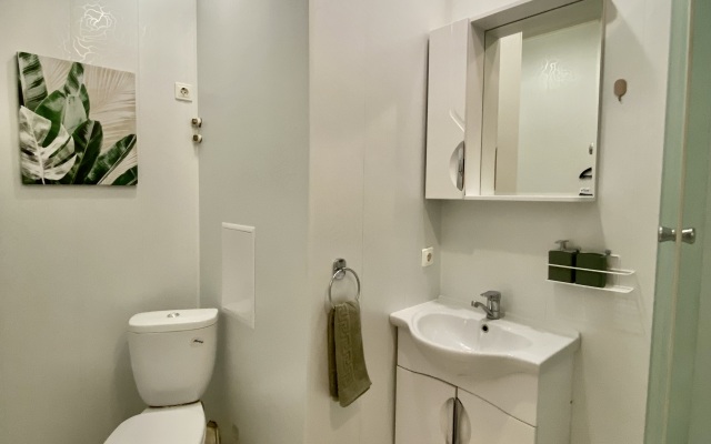 Paporotnik Sovremennyj ZHK Udobnyj Vyezd na Istochnik Apartments