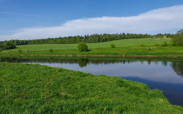 Отель Ruza Forest