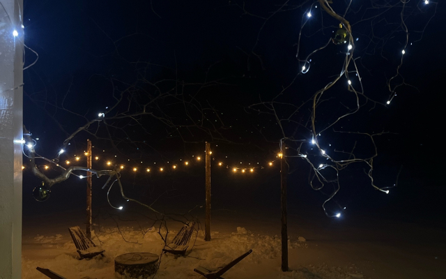 Частный дом  Belov House  с панорамным остеклением у леса