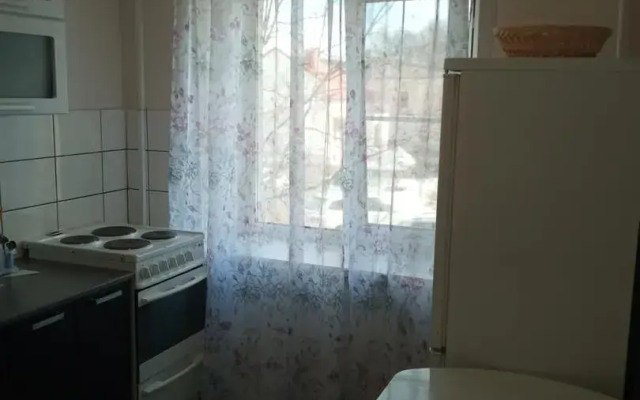 V Tsentre Goroda Flat