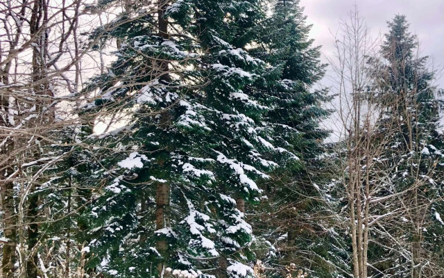 База отдыха Панорама