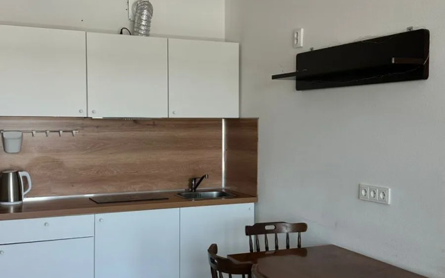S Vidom Na Gorod, Naberezhnaya Nevy Flat
