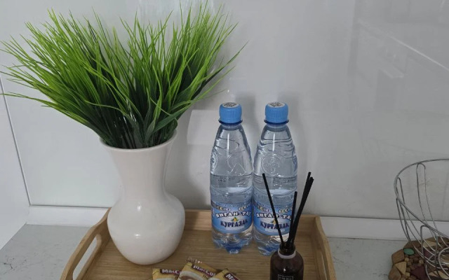 Uyutnaja V Tsentre Flat