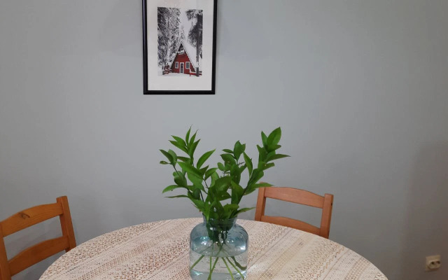 Квартира у Ленты