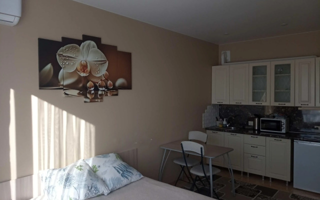 V Devyatietazhnom Dome V Tsentre Adlera Flat