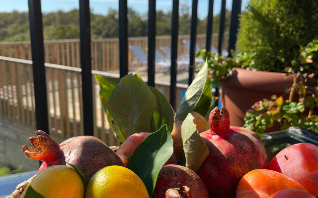 Ayfreymy Pitsunda Guest House