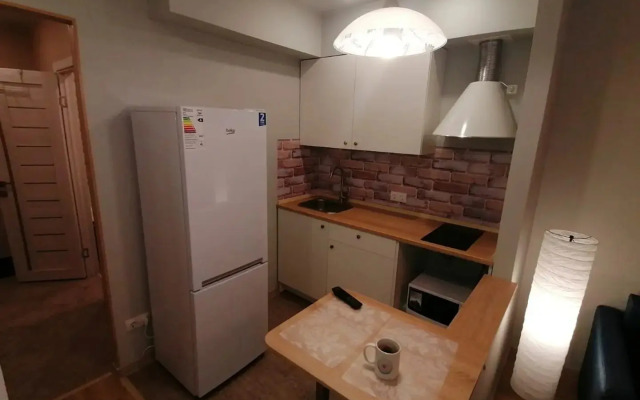 Comfortable Studio Vladimir Apartments