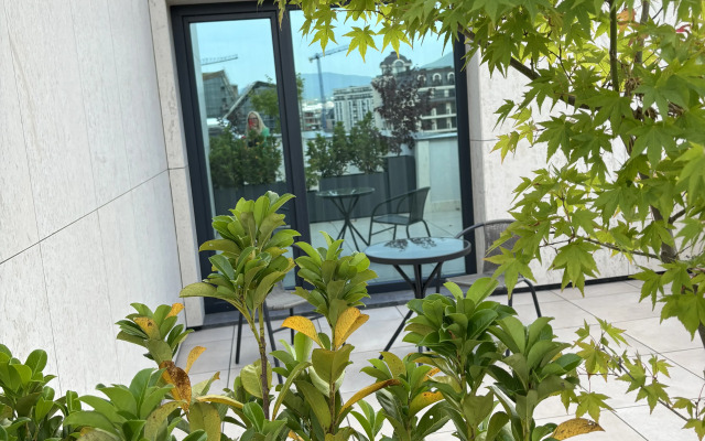 Hotel Blue Star Luxury Hotel 4*