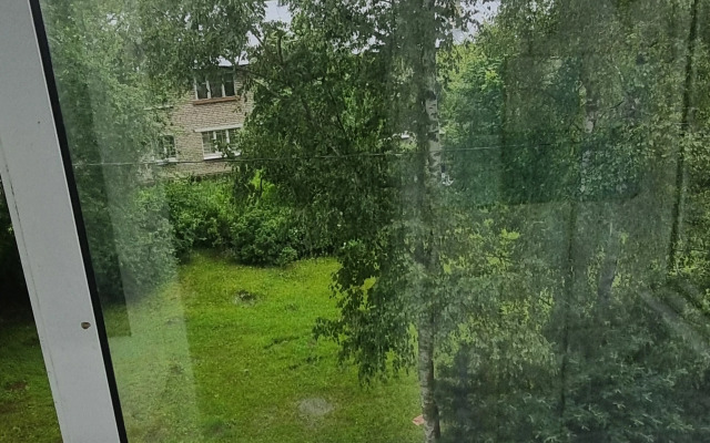 Tihaya Prostornaya V Samom Tsentre G. Lomonosov Flat
