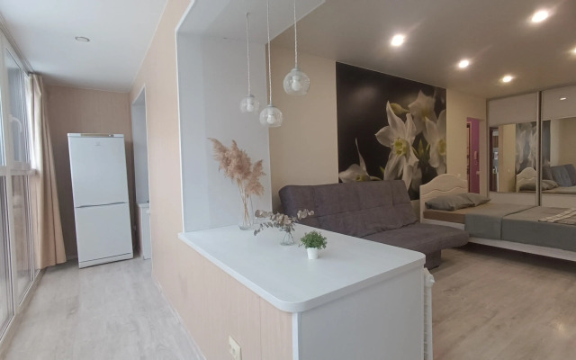 Квартира Тихий Центр