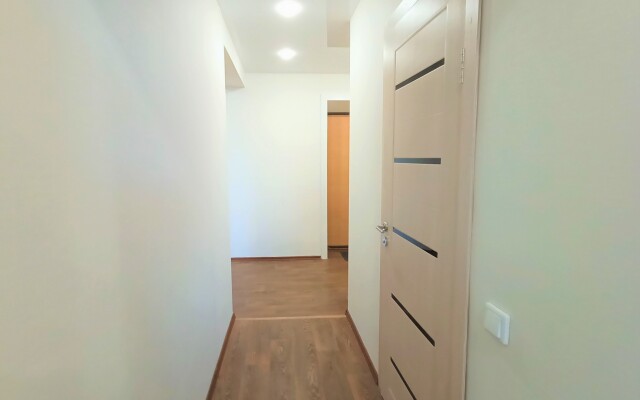 One-room RusDom near the recreation center Rodina Apartments