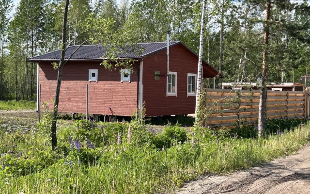 Частный дом Деревенский