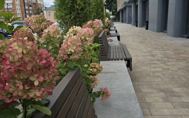 Квартира в доме бизнес класса в центре Пензы