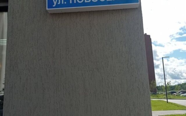 Na Ulitse Novosyolov 113 Flat