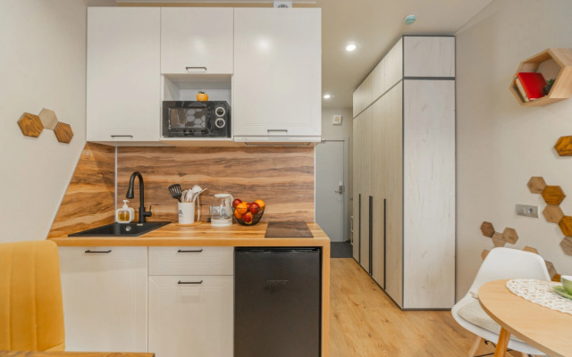 Apartment Deluxe SalutApart 5