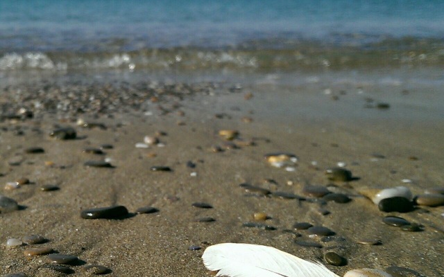 Гостевой Дом Coral