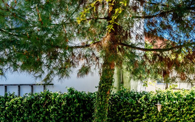 Talasso Guest House