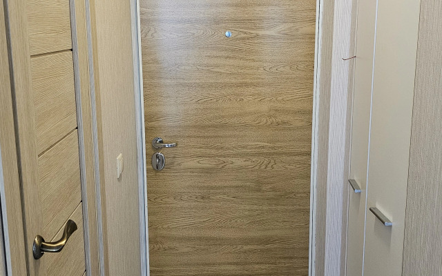 Квартира Студия , станция Павшино эт 22