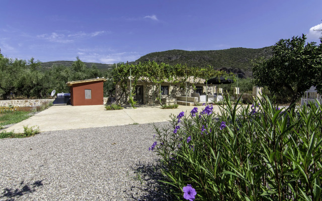 Olive Grove by the Sea Kardamyli Private house