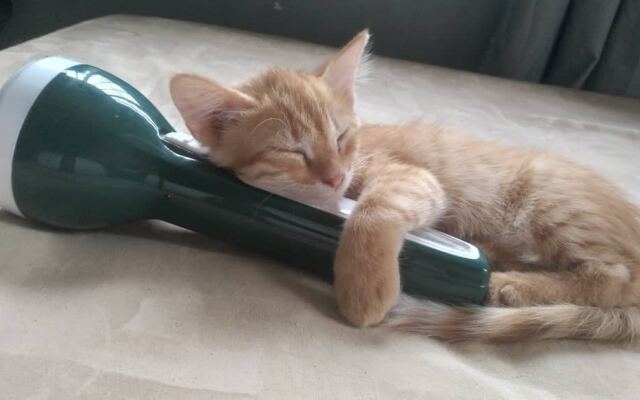 Бунгало Spice sea beach house & restaurant