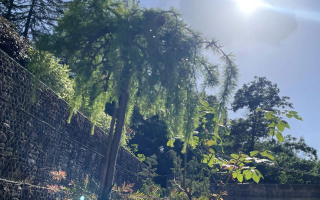 2 V Chastnom Dome Apartments