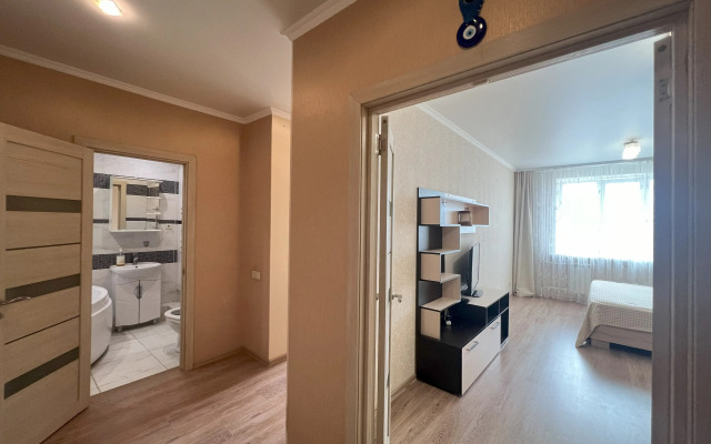 Uyutnaya Chistaya So Vsemi Udobstvami Flat