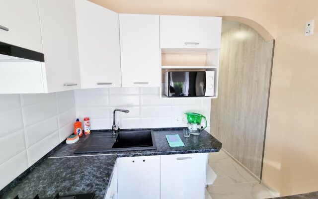 2-room apartments in the city center near the Embankment Apartmens