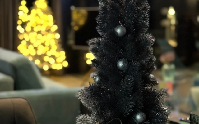 Частный дом Плещеево Хиллз 2