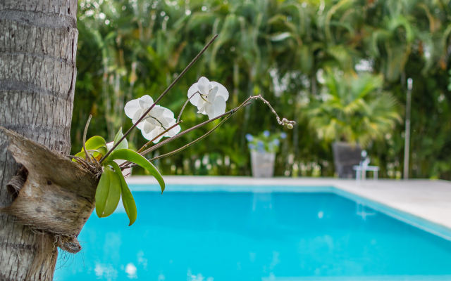 Luxury villa at Puntacana Resort Villa