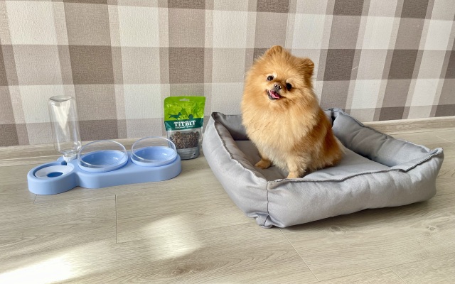 Квартира Однушка с Уютным Балконом